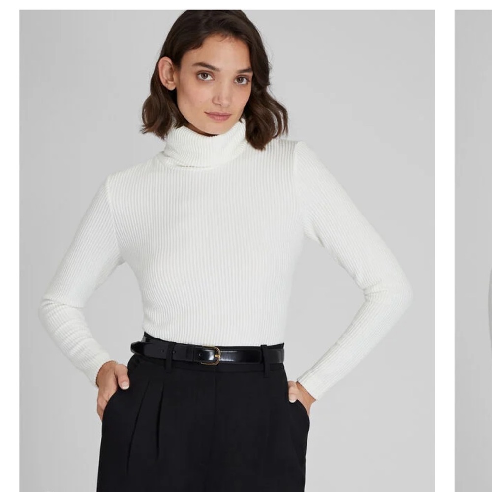 Club Monaco fitted turtleneck sweater